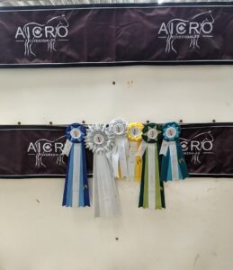  horse show ribbons