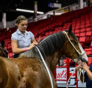 Rowan decorating Betty's mane